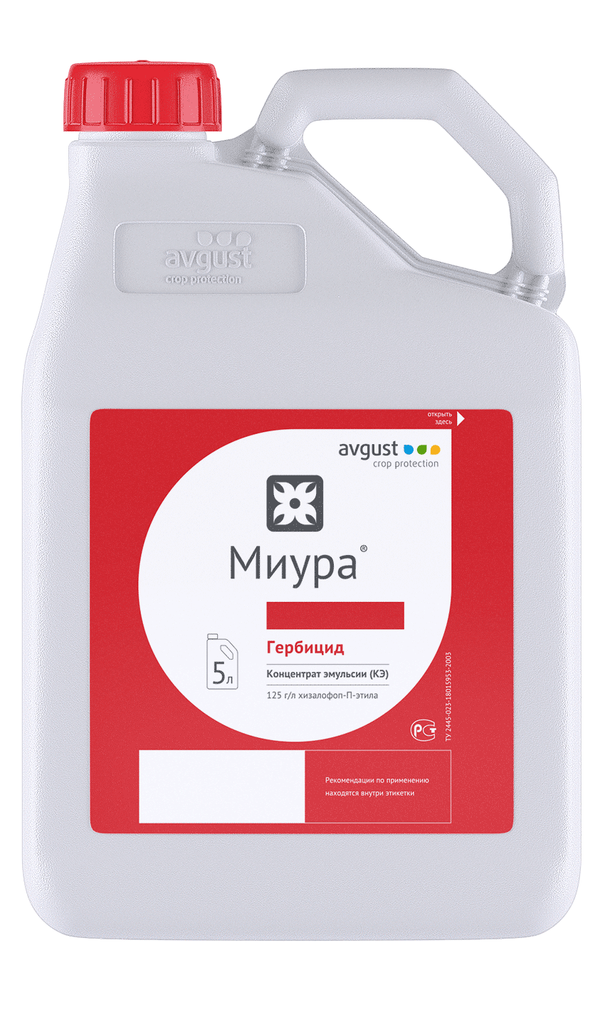 Миура, КЭ