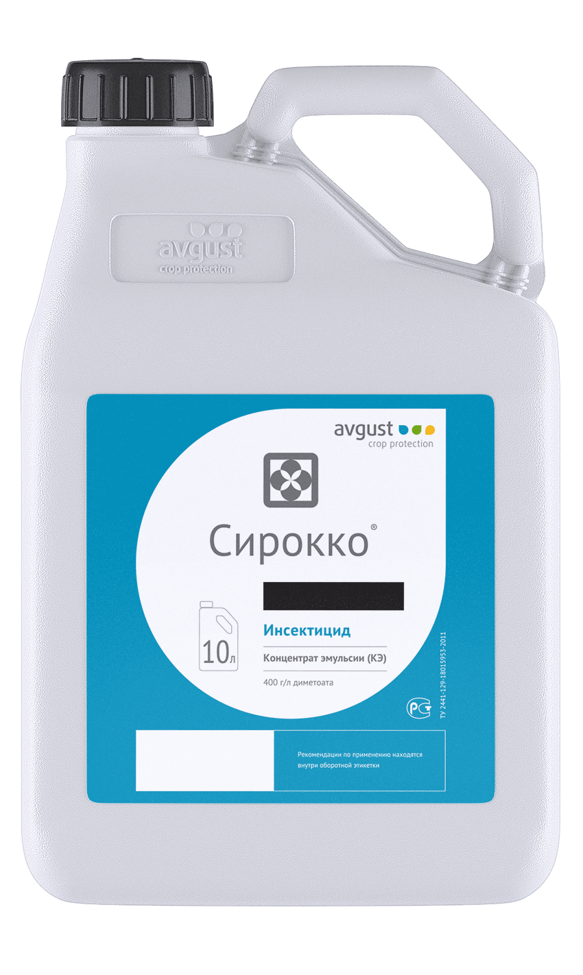 Сирокко