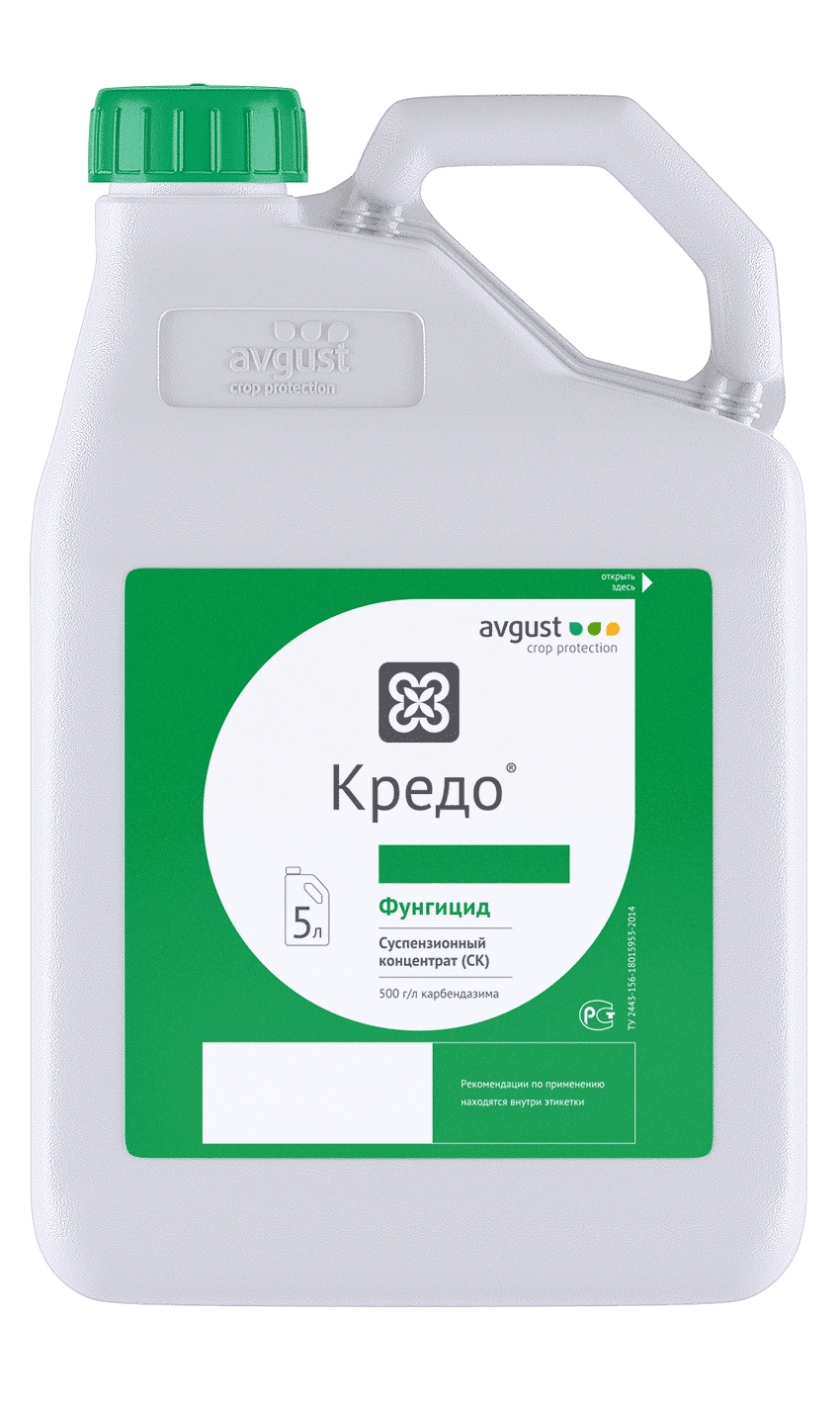 Кредо