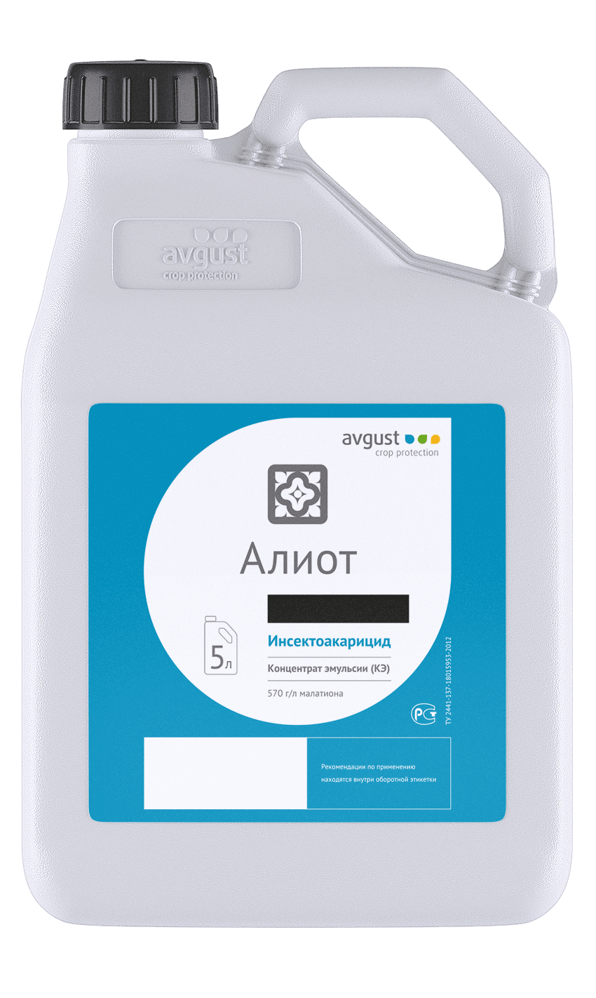 Алиот