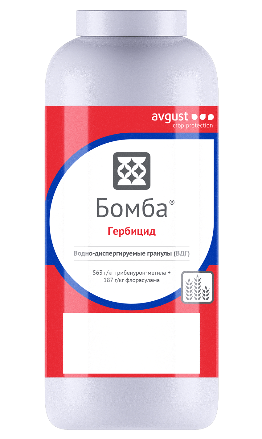 Бомба, ВДГ