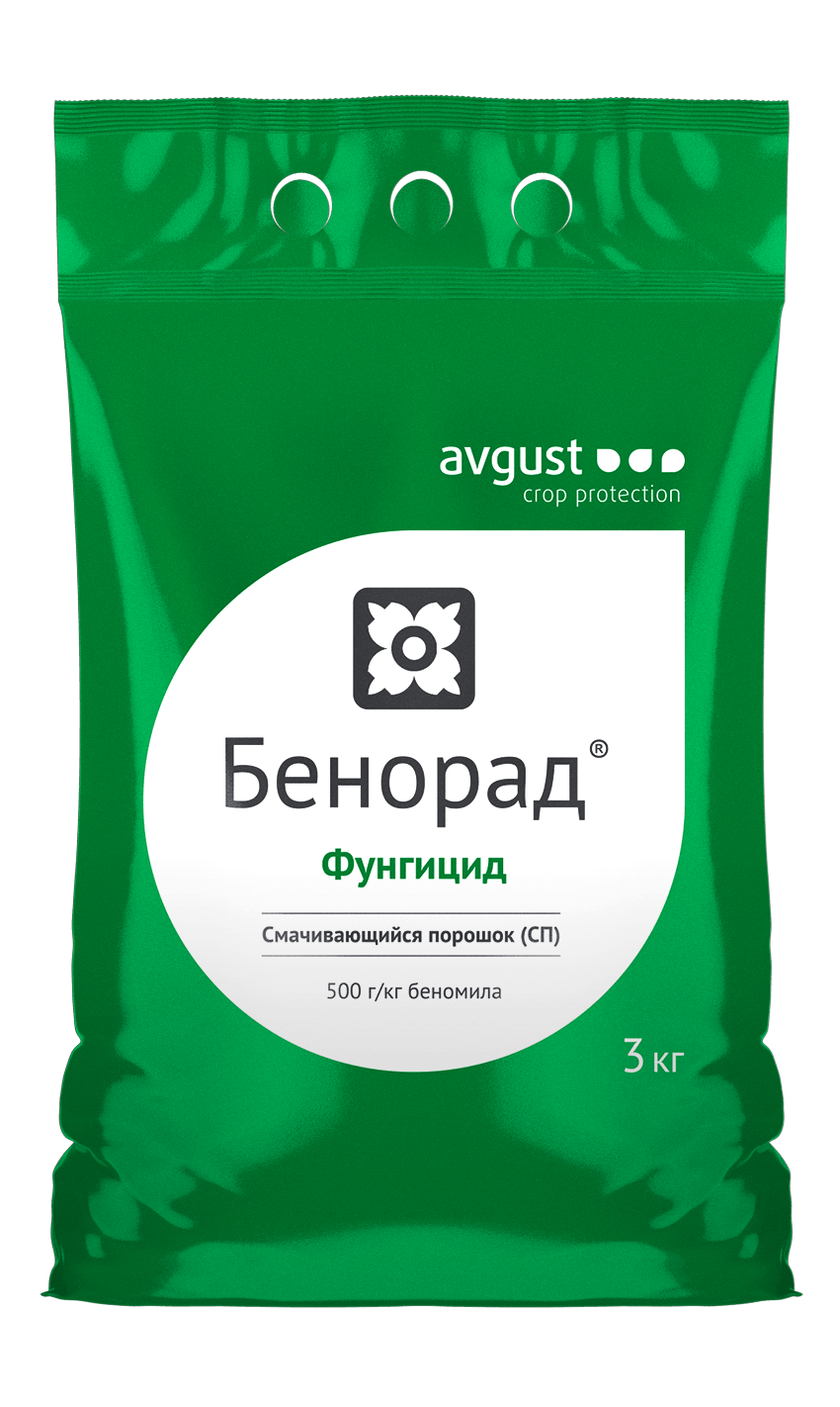 Бенорад